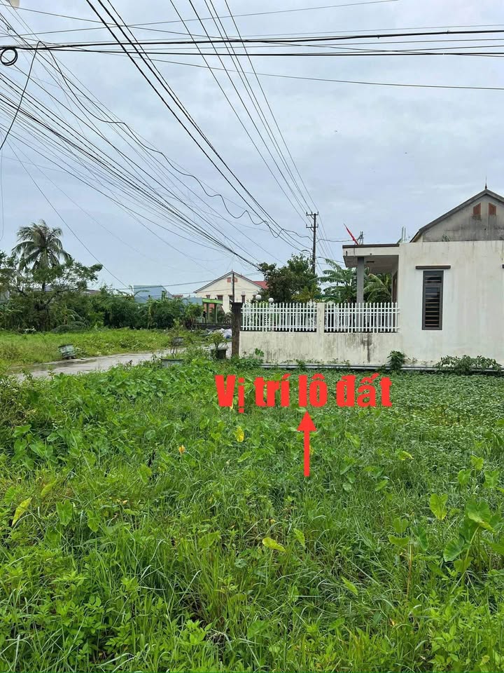 Đất 2 Mặt Tiền Đường Phan Huy Ích, Đồng Hới 195m² - Cơ Hội Đầu Tư Sinh Lời Cao!