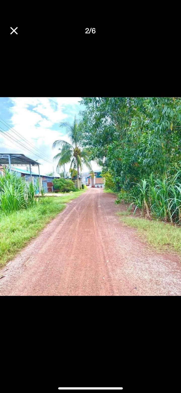 Đất thổ cư 350m² xã Phan, Dương Minh Châu - Giá chỉ 699 triệu, thương lượng nhẹ!