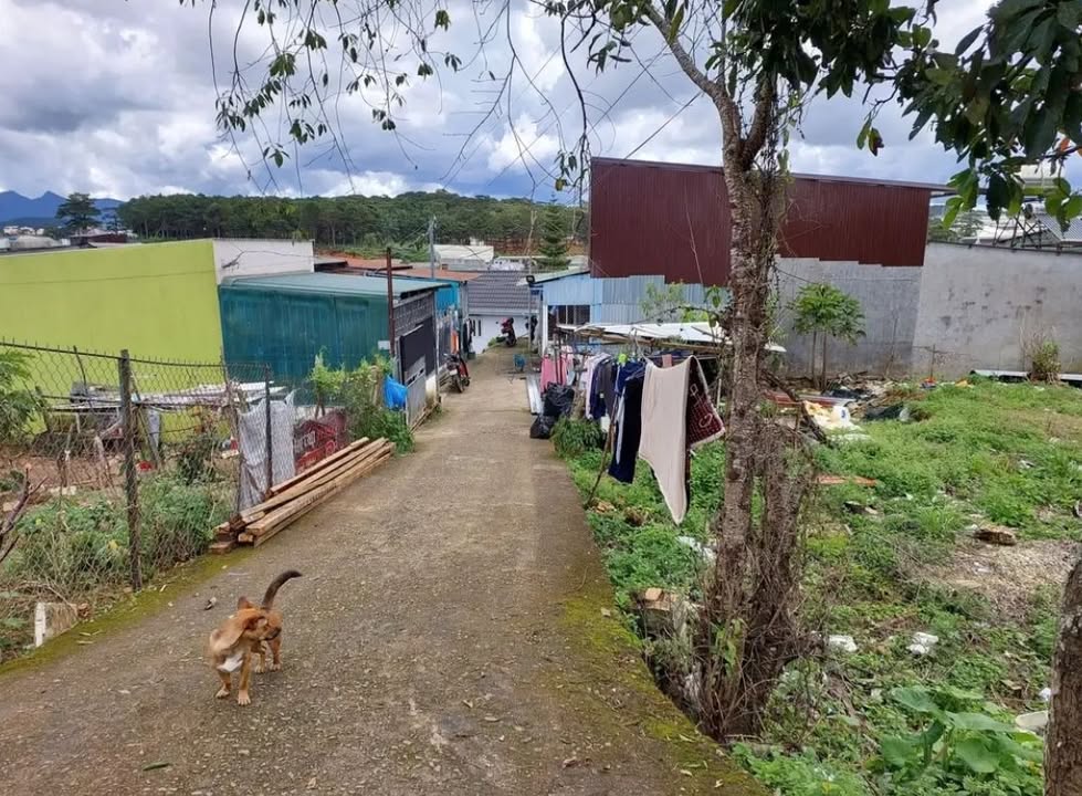 Đất nền 150m² đường Hồ Xuân Hương, phường Lâm Viên - Đà Lạt - Sổ đỏ chính chủ chỉ 1.6 tỷ!