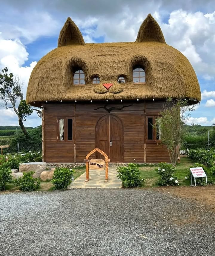 Đất 2 Mặt Tiền Quốc Lộ 1A Hòa Vinh 234m² giá 2 tỷ - Cơ hội đầu tư sinh lời!