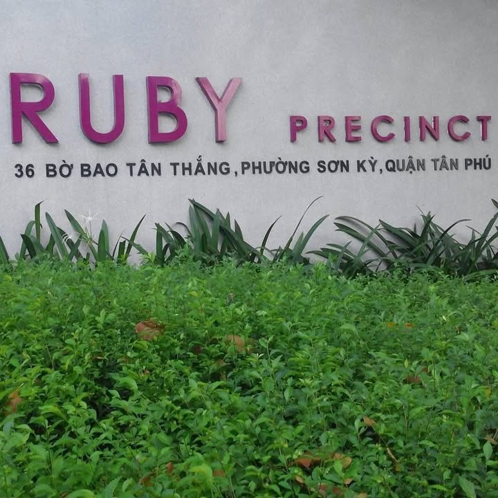 Căn hộ Celadon Ruby Tân Phú 68m² giá 3.8 tỷ - Sổ hồng chính chủ!