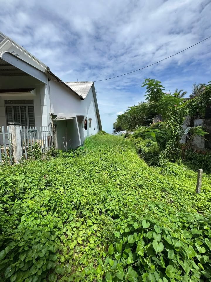 Đất nền chính chủ tại Phường Long Phú, Tân Châu - 100m² giá chỉ 700 triệu!