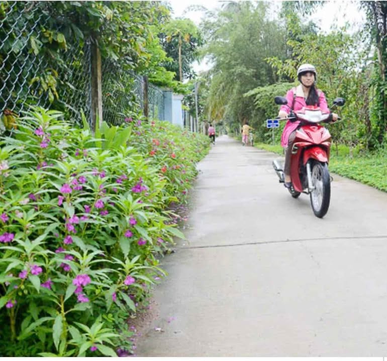 Đất thổ cư xã Châu Hòa, Giồng Trôm 1,7 công chỉ 1,2 tỷ - Đầu tư sinh lời ngay!