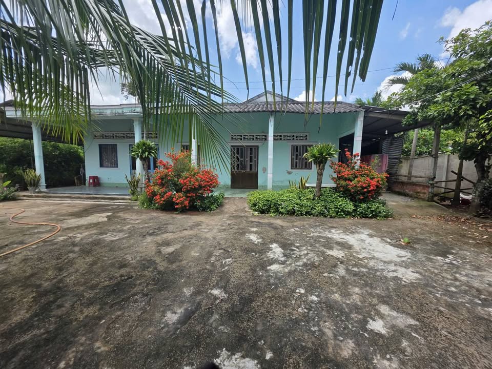 Đất nền 1345m² tại ấp Thanh Nguyên A, Vĩnh Long - Giá 87.47 tỷ, có nhà cấp 4 tặng kèm!