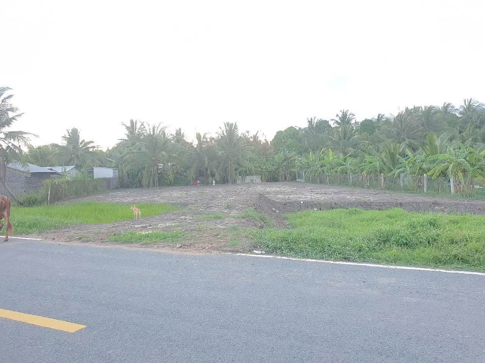 Đất 2 mặt tiền đường Nguyễn Đáng, TP Trà Vinh 660m² - Vị trí đắc địa gần bệnh viện!