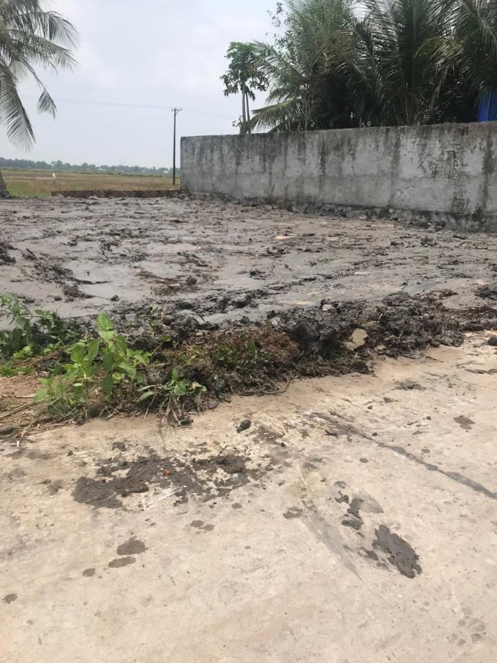 Đất nền mặt tiền Đường Đh. Bàn Tân Định, 175m² - Sổ hồng chính chủ, kinh doanh ngay!