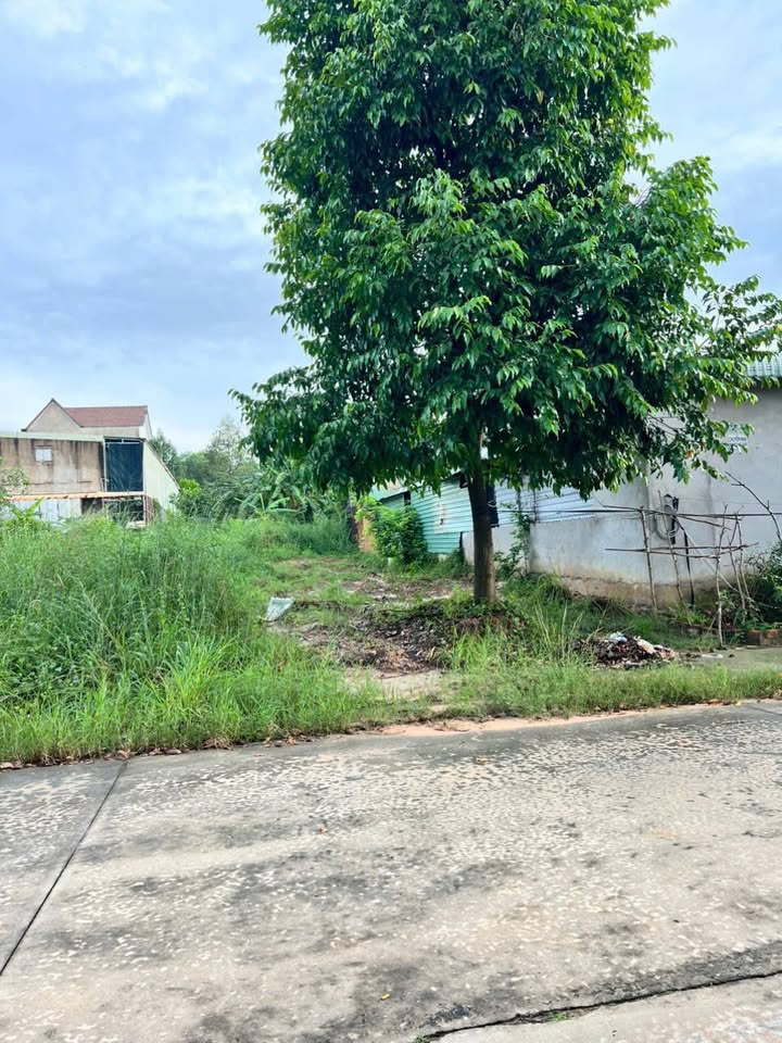 Đất nền Tân Uyên Bình Dương 150m² giá 1.9 tỷ - Đầu tư sinh lời lý tưởng!