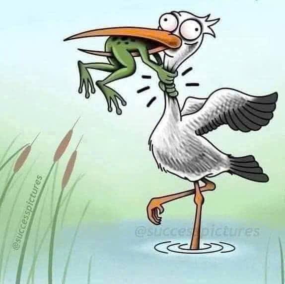 Đất nền Thanh An, Dầu Tiếng, Bình Dương 800m² giá 1.2 tỷ - Đầu tư sinh lời ngay!