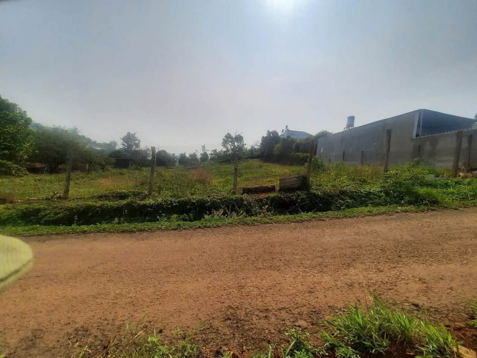 Đất nghỉ dưỡng hẻm Phan Đình Phùng, Bảo Lộc 900m² giá 2.8 tỷ - Cơ hội đầu tư tốt!