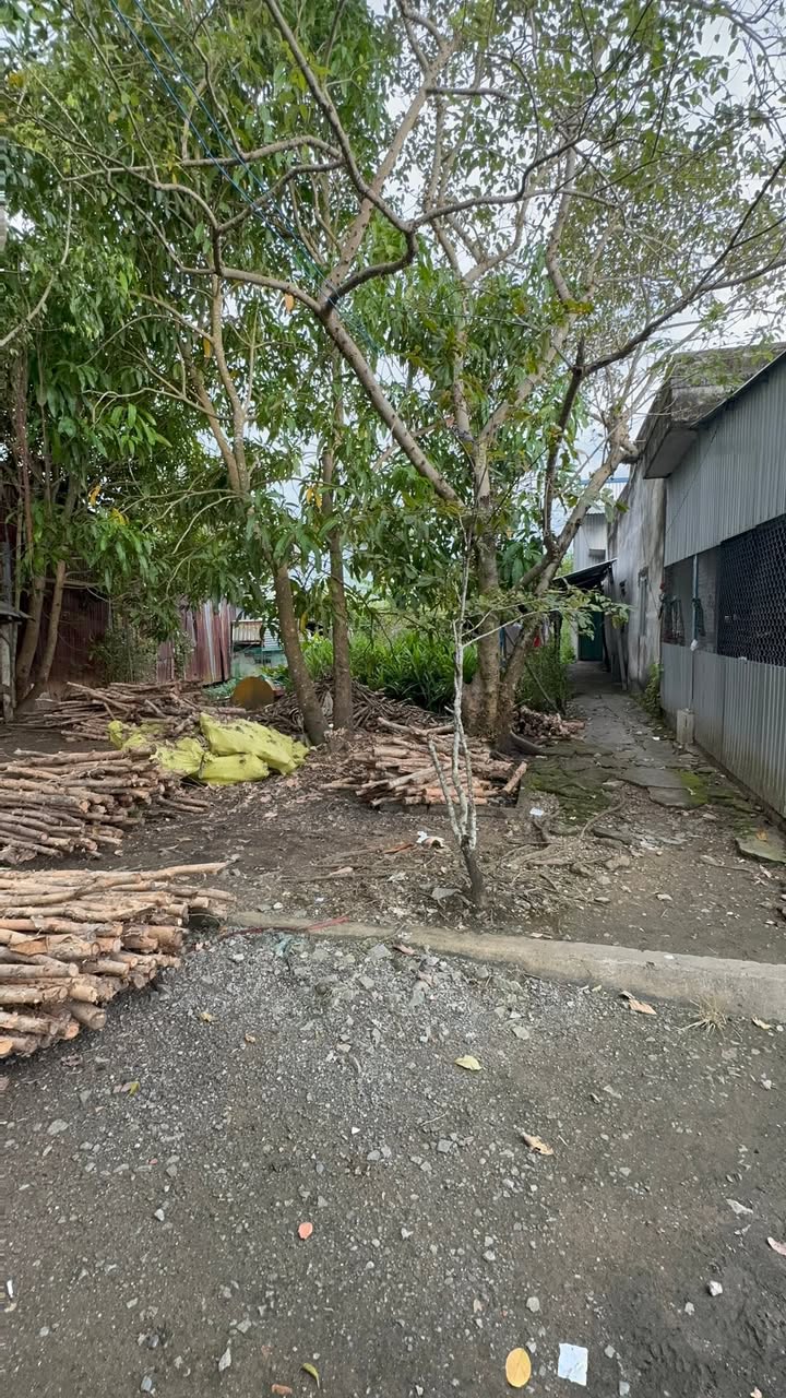 Đất nền 100m² Khu tái định cư thứ 7, Đông Hòa, An Minh - Sổ hồng chính chủ, giá thỏa thuận!