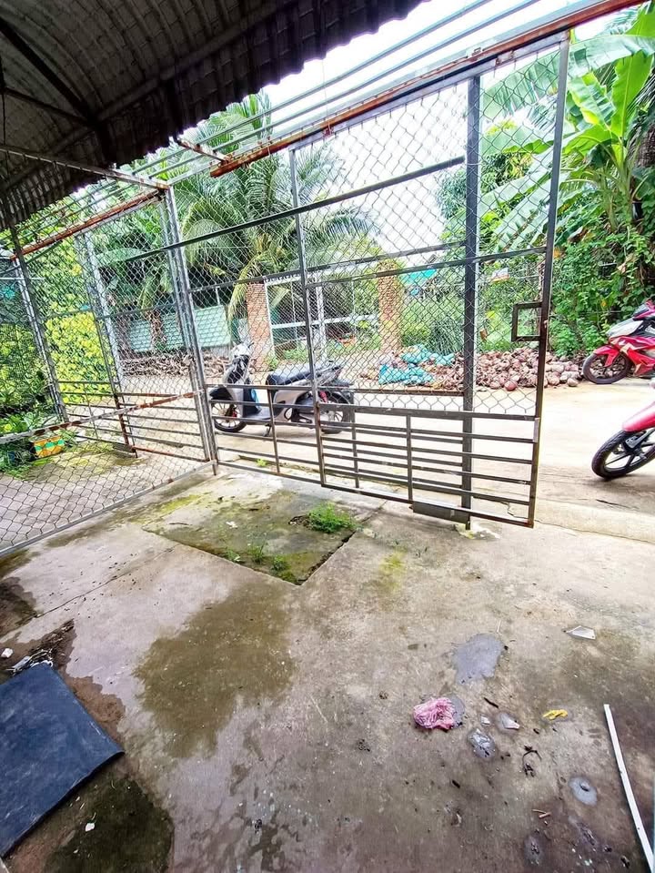 Nhà trệt lửng cho thuê tại Bình Thủy 40m² giá chỉ 1.7 triệu - Phù hợp cho gia đình và sinh viên!