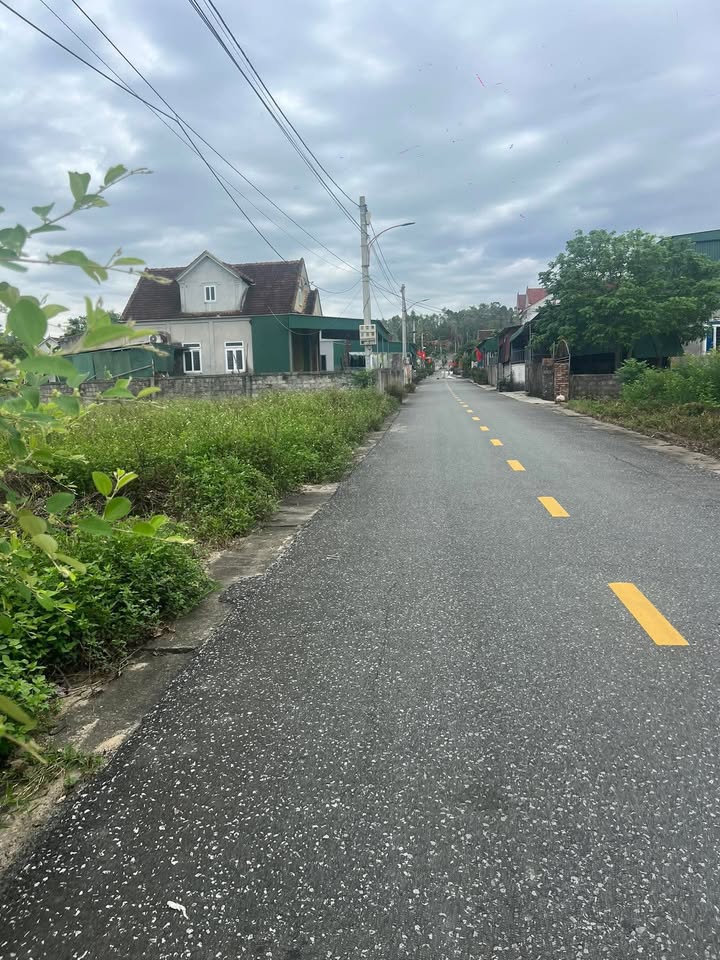 Đất tổ dân phố 5, phường Đậu Liêu 165m² giá 1.5 tỷ - Đường thảm ô tô tránh nhau!