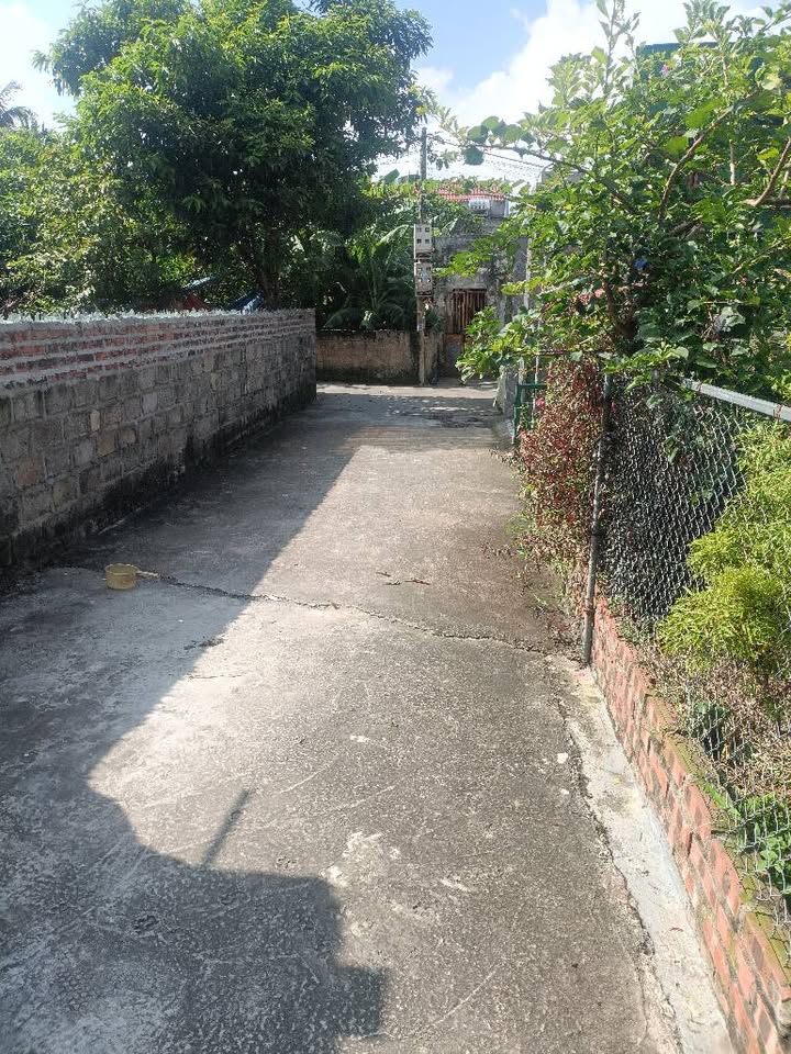 Đất nền Thủy Nguyên 80m² giá 1.8 tỷ - Đầu tư sinh lời ngay!