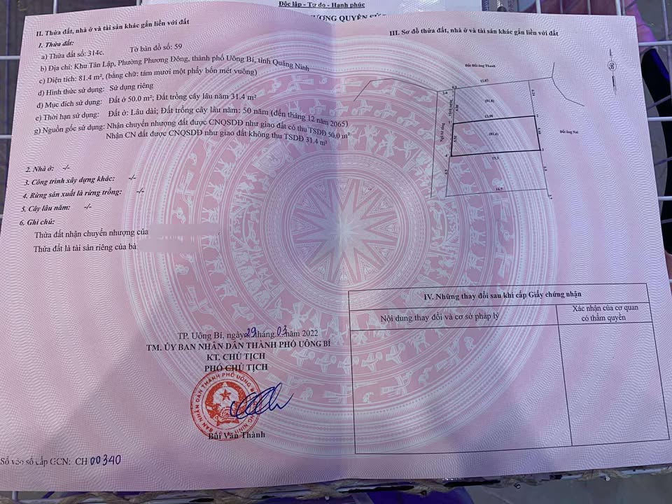 Đất nền Tân Lập Uông Bí 81m² giá chỉ 600 triệu - Đường ô tô vào tận nơi!