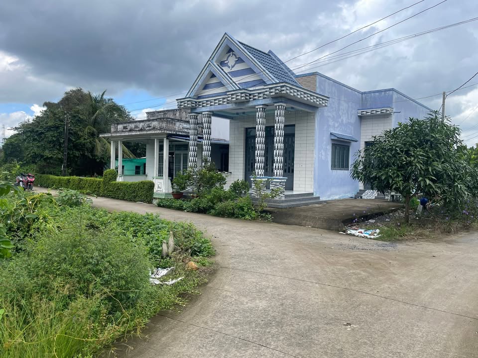 Đất thổ cư 100m² tại Mỹ Lộc, Cần Giuộc - Giá chỉ 1 tỷ, thương lượng nhẹ!