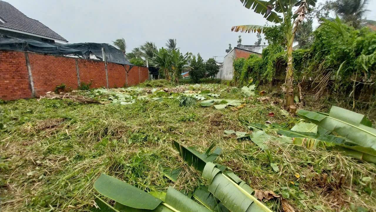 Đất nền xã Sơn Đông, TP. Bến Tre 352m² - Đầu tư sinh lời bền vững!