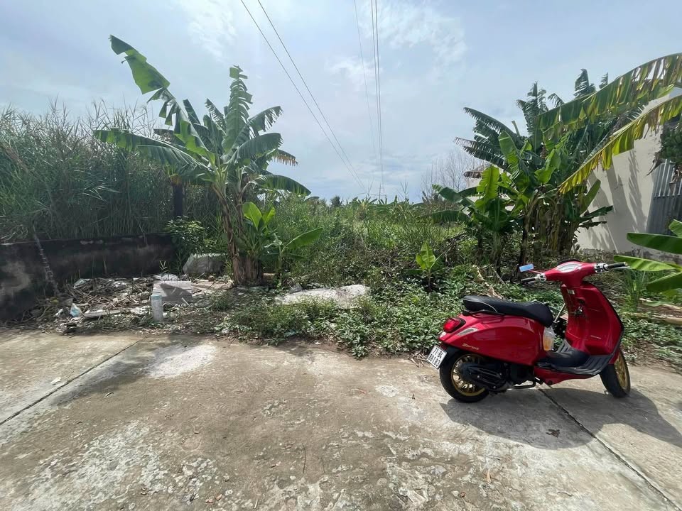 Đất nền Phú Tân Bến Tre 300m² giá 900 triệu - Cơ sở hạ tầng hoàn chỉnh!