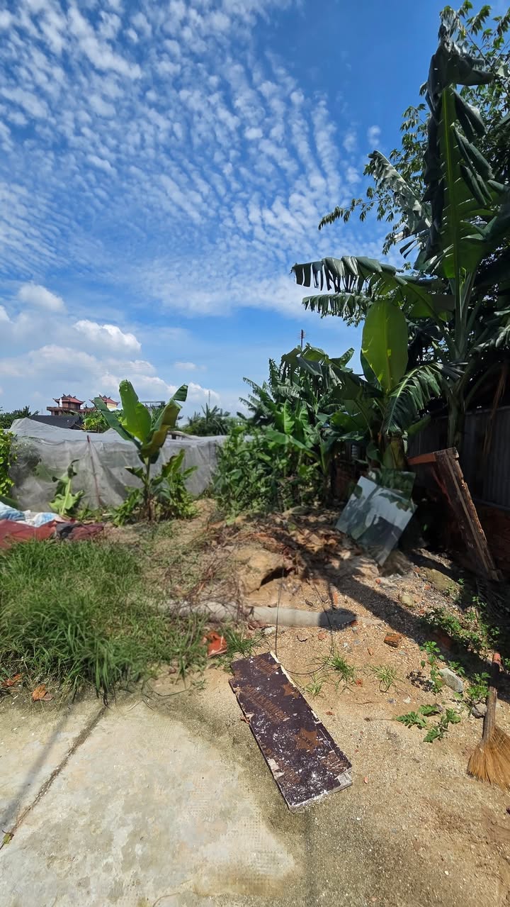 Đất Tân Hiệp Hóc Môn 80m² giá 2.5 tỷ - Khu dân cư đông đúc, hướng Đông Nam!