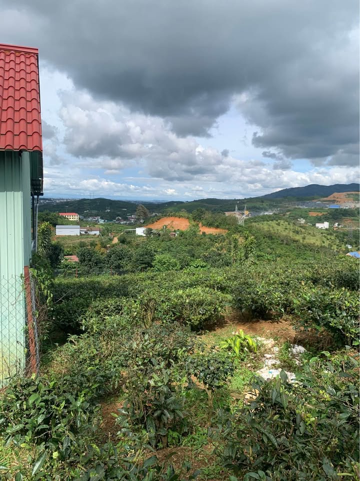 Đất nền mặt tiền đường Ỷ Lan, phường Đại Lào, 4418m² giá 5.5 tỷ - Đầu tư sinh lời lý tưởng!