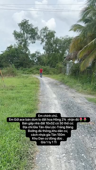 Đất nền Gia Lộc, Trảng Bàng 520m² giá 1.1 tỷ - Cơ hội đầu tư hấp dẫn!