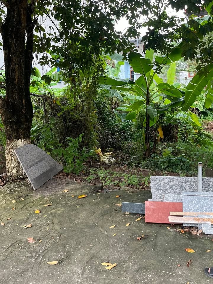 Đất mặt đường 36, phường Phượng Mao, 100m² - Vị trí kinh doanh đắc địa!