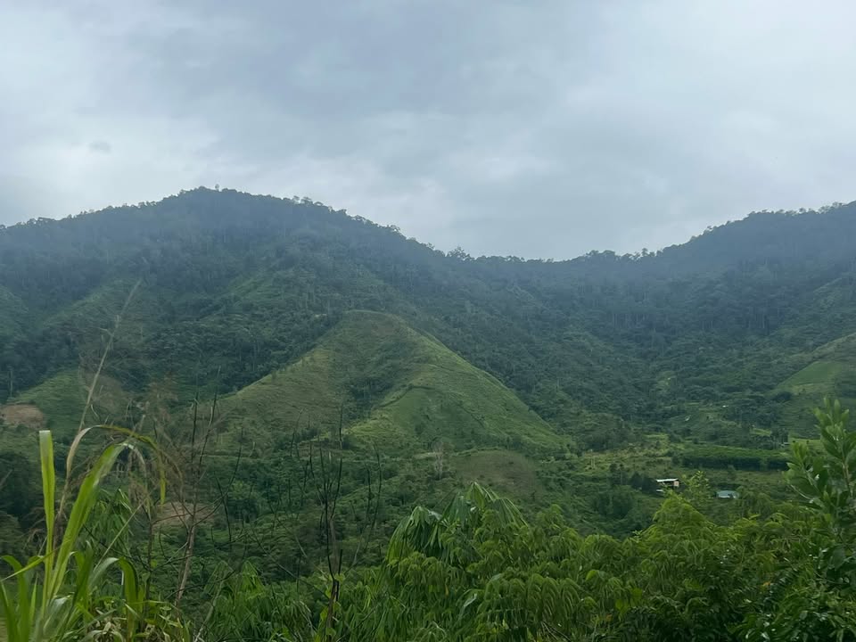 Đất nông nghiệp Đăk Ring 13.000m² giá 100 triệu - Cơ hội đầu tư tuyệt vời!