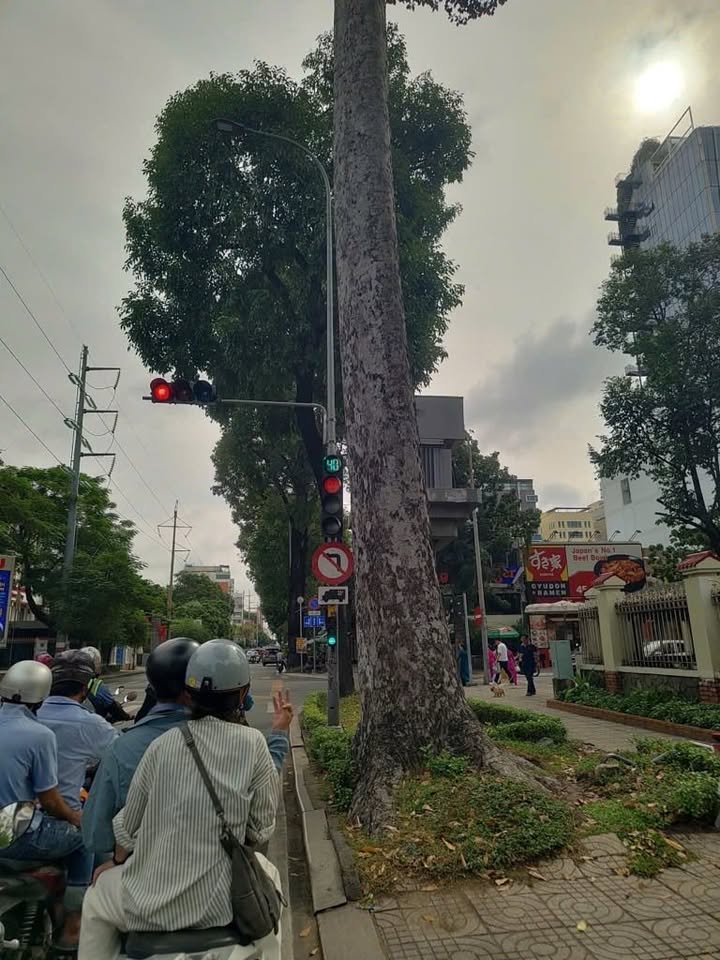 Đất đẹp đường Điện Biên Phủ, quận 3 diện tích 760m² - Pháp lý rõ ràng, giá thỏa thuận!