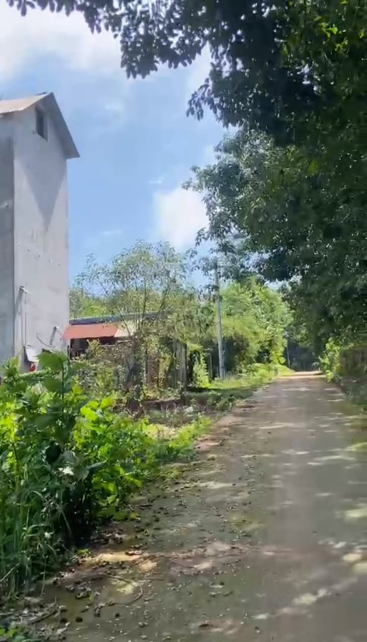 Đất nền Hớn Quản 850m² - Đầu tư sinh lời ngay sát trung tâm xã Tân Lợi!