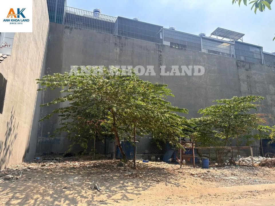 Bán đất hẻm nhựa 7m Đường Số 7, P.Tam Bình 50.1m² - Giá tốt, vị trí thuận lợi!