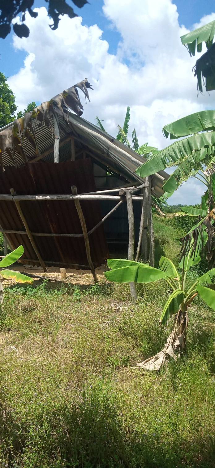 Đất vườn 10.000m² tại Ấp 3, Bình Hòa Nam - Giá chỉ 2,2 tỷ VND!