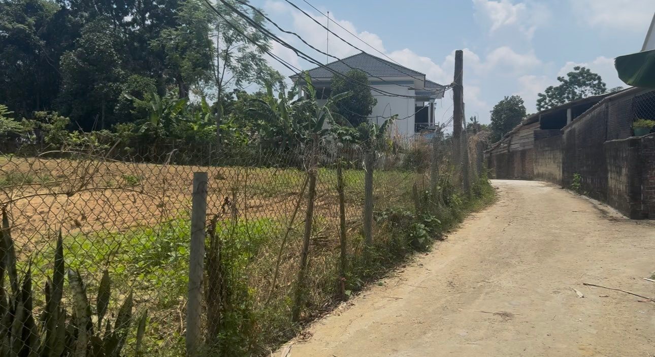 Đất thổ cư 400m² tại Tiên Lương, Cẩm Khê giá chỉ 2.43 tỷ - Sổ đỏ chính chủ!