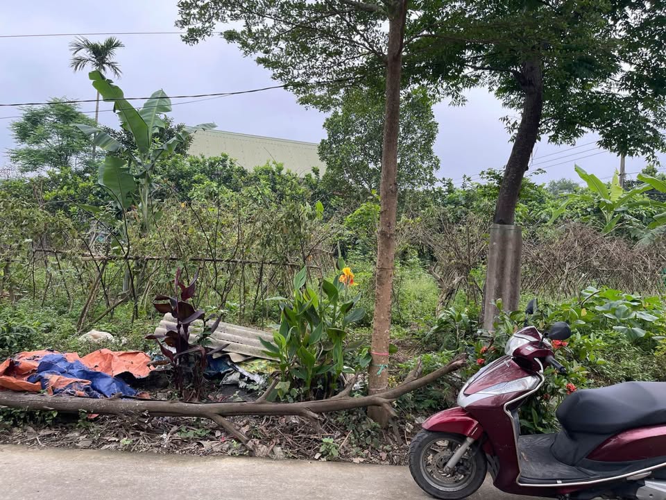 Đất nền kiệt ô tô Lý Thần Tông Hương An 122m² - Vị trí đẹp giá chỉ 1 tỷ!