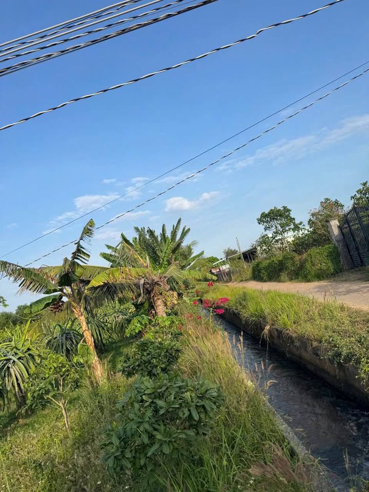 Đất thổ cư 1000m² Hàm Hiệp - Giá chỉ 650 triệu - Cơ hội đầu tư hiếm có!