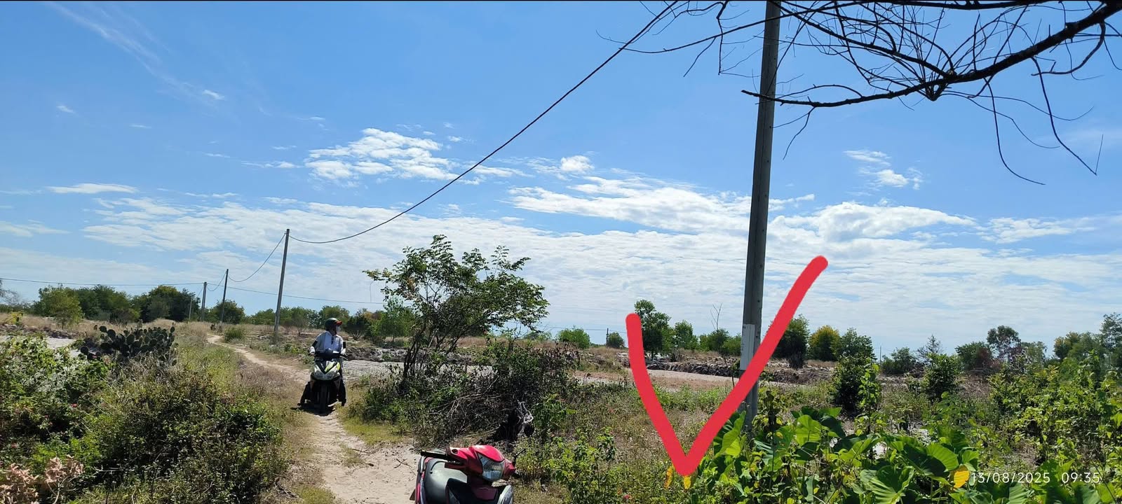 Đất trồng cây Bình Phục Thăng Bình 573m² giá chỉ 130 triệu - Cơ hội đầu tư tuyệt vời!