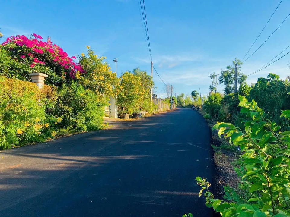 Lô đất Xuyên Mộc 1339m² giá 2.5 tỷ - Cơ hội đầu tư tuyệt vời!