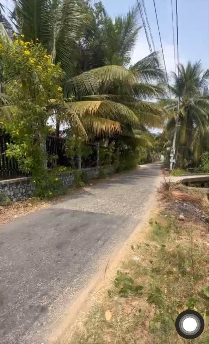 Đất thổ cư 280m² Long Hoà B, Đạo Thạnh, chỉ 1.45 tỷ - Cơ hội đầu tư hấp dẫn!