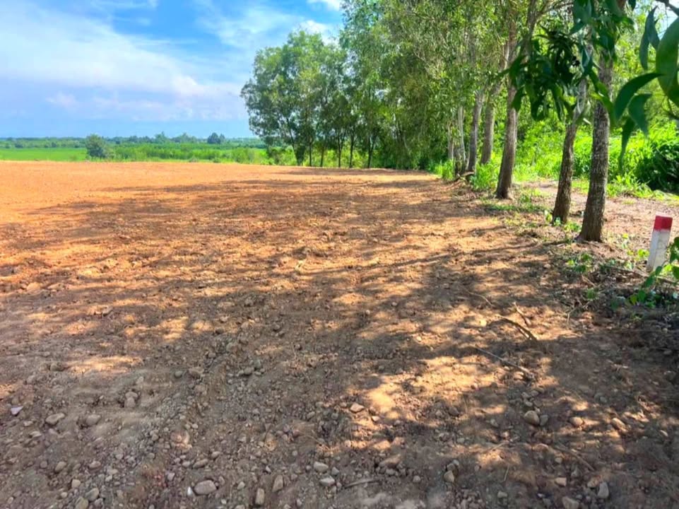 Đất 1000m² tại Hồ Tràm, Xuyên Mộc giá chỉ 1.35 tỷ - Sổ đỏ chính chủ!