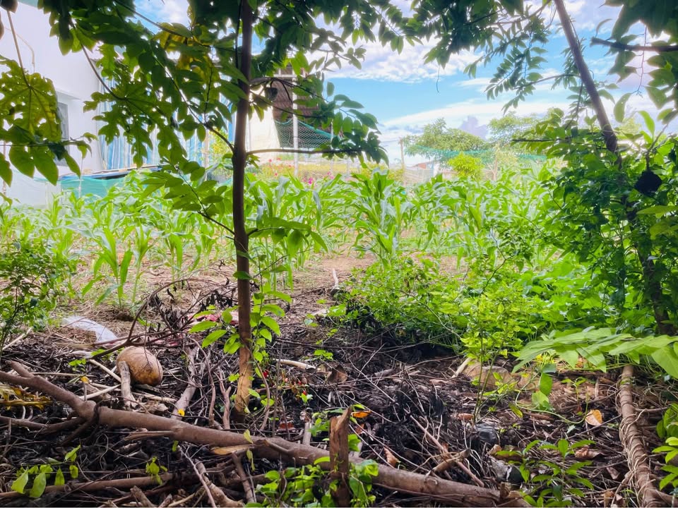 Đất nền Bắc Nha Trang 610m² giá 3.66 tỷ - Cơ hội đầu tư tuyệt vời!