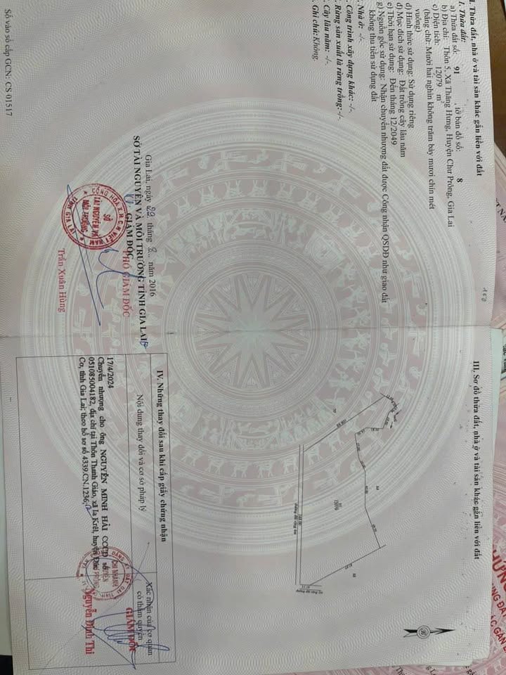 Đất Farm 4.2ha tại xã Thăng Hưng, Chư Prông - Phát triển cà phê mạnh mẽ!