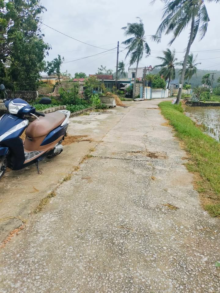 Lô đất 116m² mặt tiền 6,5m tại thôn Kỳ Vỹ, Quảng Xương - Giá chỉ 300 triệu!