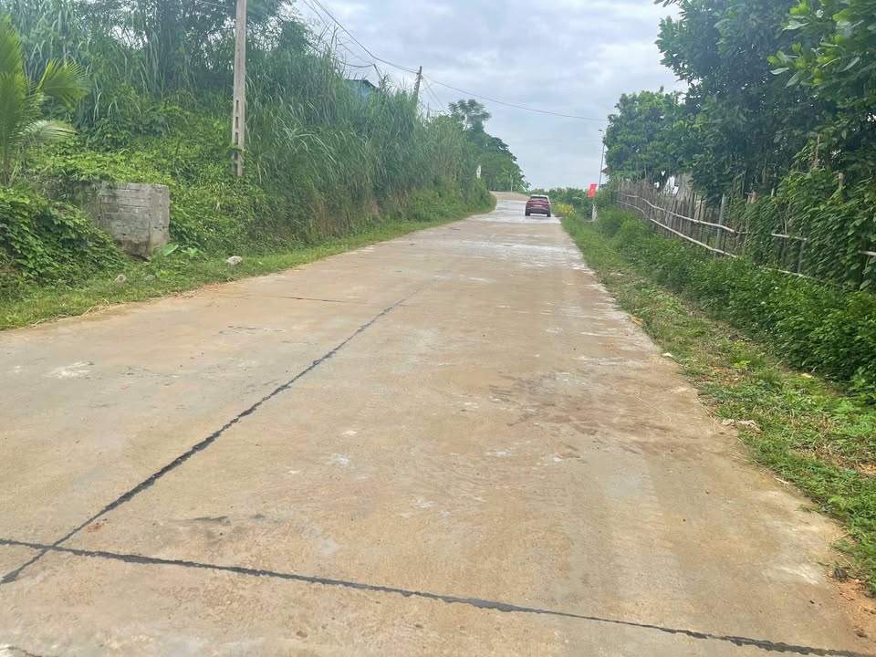 Đất nền xã Phùng Giáo Ngọc Lặc 180m² giá 1xx triệu - Sổ đỏ chính chủ!