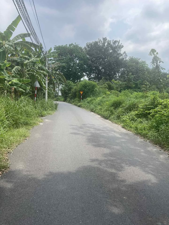 Đất nền liền kề 80m² đường nhựa 5m Tân Định – Bến Cát chỉ 800 triệu