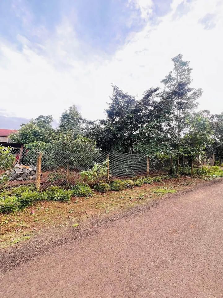 Đất 2 mặt tiền đường Ỷ Lan, xã Biển Hồ, 260m² - Giá chỉ 1.2 tỷ