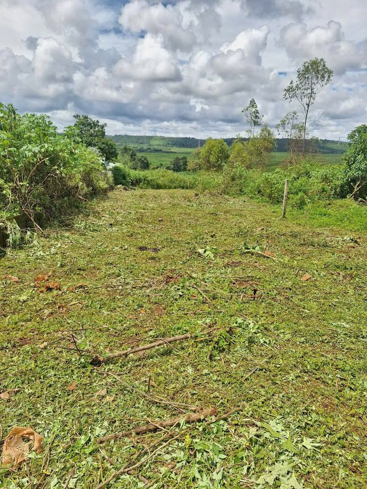 Đất nền chính chủ tại lô 2 Võ Nguyên Giáp, Chi Lăng, Pleiku - 120m², giá chỉ 500 triệu!