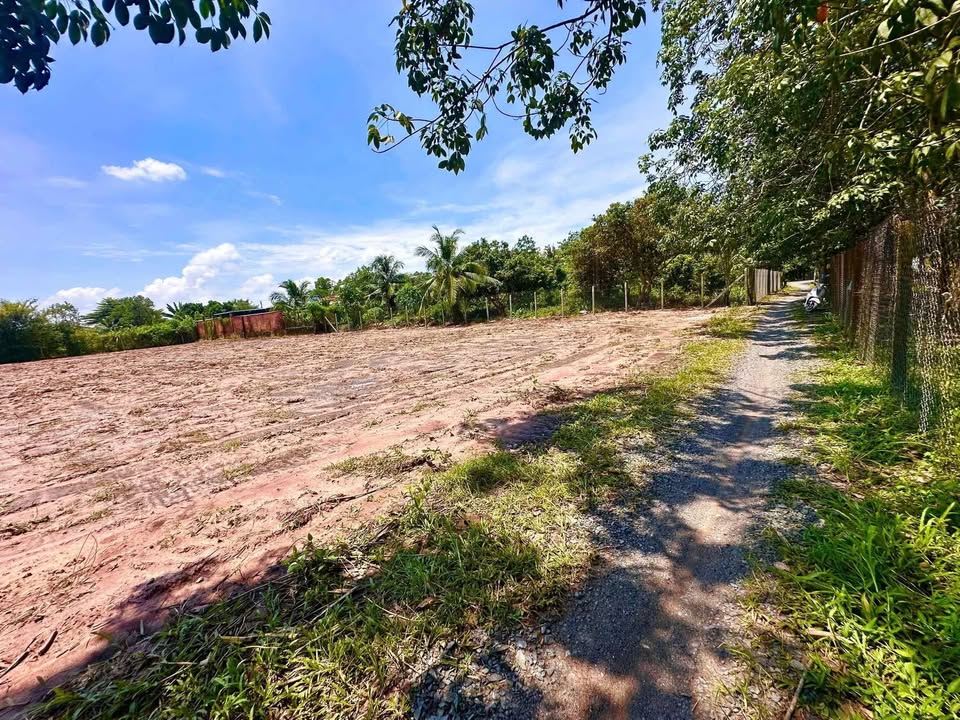 Đất Phước Tây, Gò Dầu, Tây Ninh 1426m² giá 800 triệu - Sở hữu ngay không lo lắng!