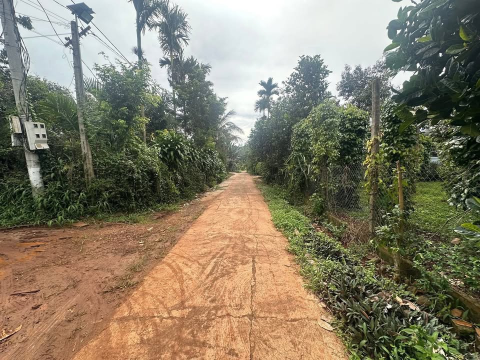 Đất thổ cư Hẻm Võ Văn Tần - Phường An Lạc 175m² chỉ 590 triệu - Cơ hội đầu tư hiếm có!