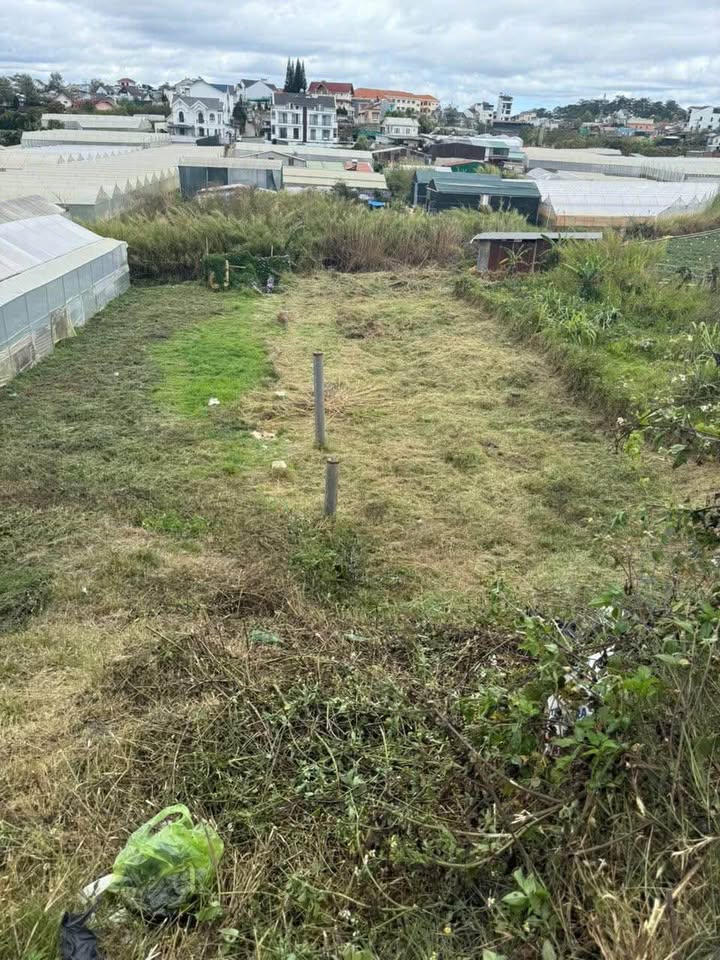 Đất sổ đỏ mặt tiền đường Tô Hiệu, Đà Lạt 730m² - Đầu tư sinh lời cao!