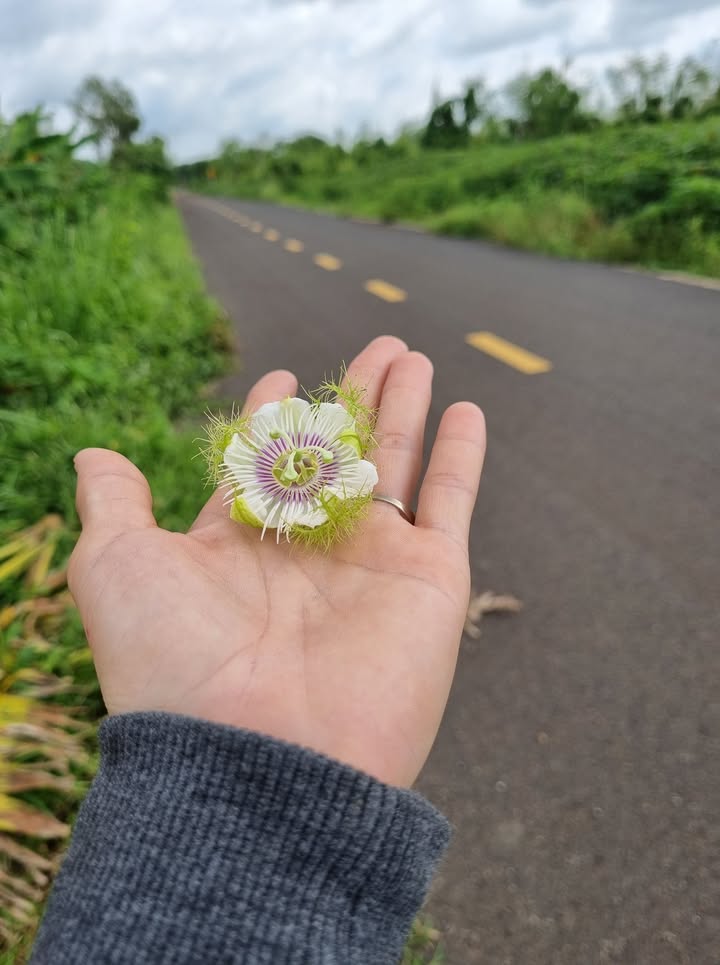 Đất nền Nghĩa Thành, Châu Đức 700m² giá chỉ 2.55 tỷ - Tiềm năng đầu tư lớn!