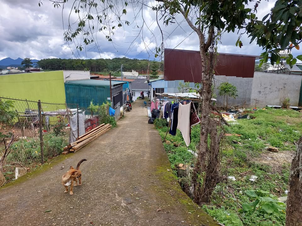 Đất nền 150m² đường Hồ Xuân Hương, Đà Lạt - Giá chỉ 1.6 tỷ!