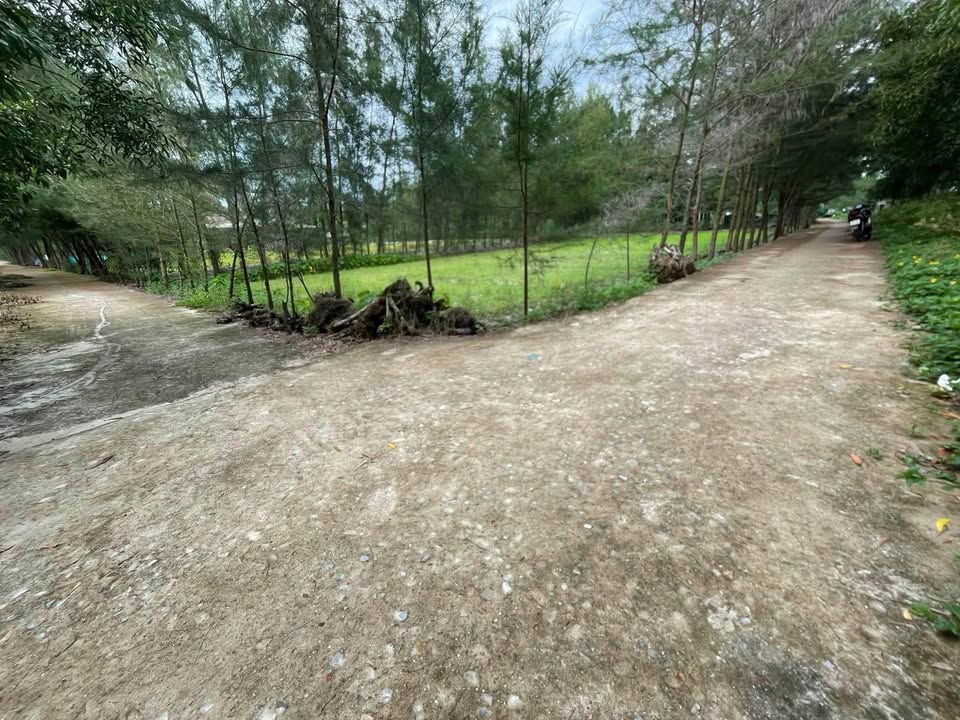 Đất ở Triệu Lăng, Quảng Trị 144m² - Gần bãi tắm, giá thỏa thuận!